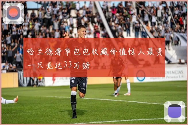 哈兰德奢华包包收藏价值惊人最贵一只竟达33万镑